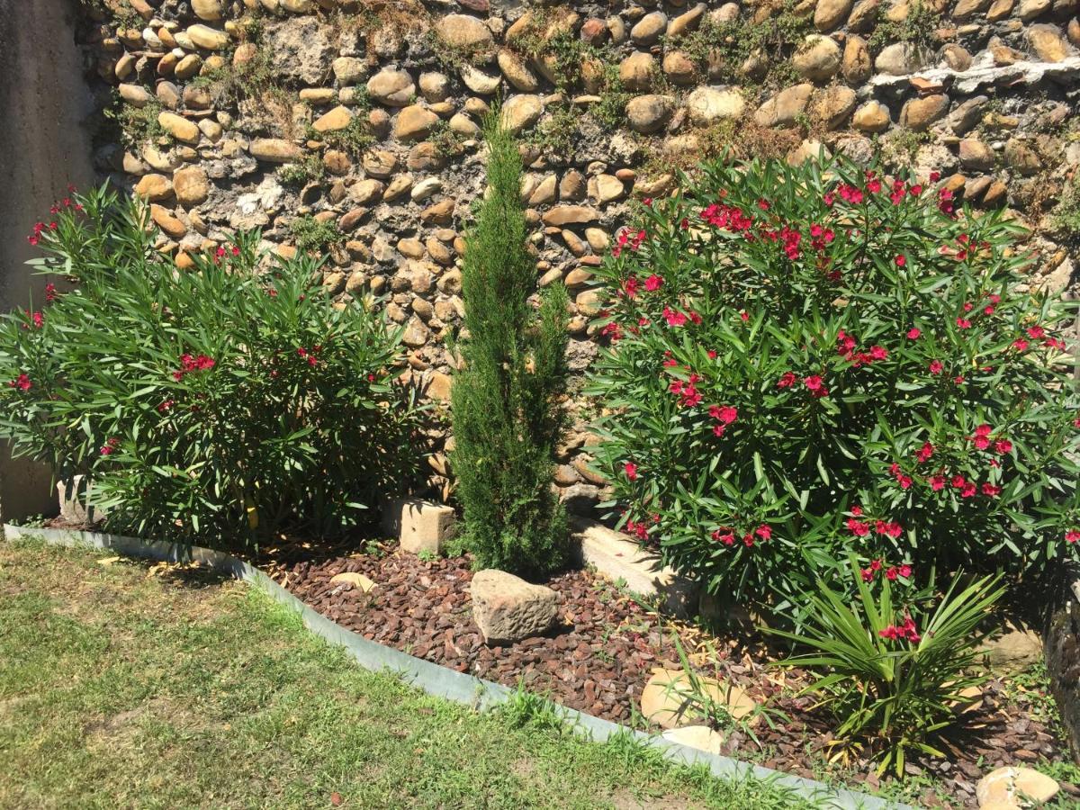Le Charles IX Apartment Roussillon  Bagian luar foto
