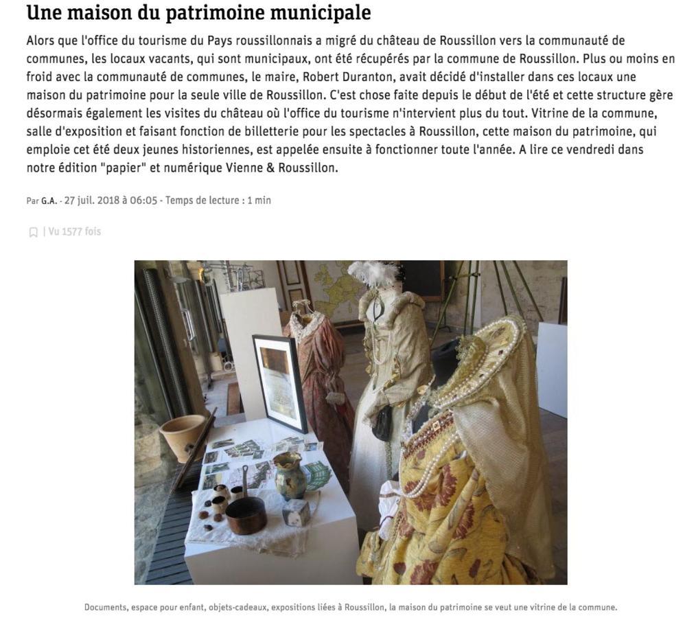 Le Charles IX Apartment Roussillon  Bagian luar foto